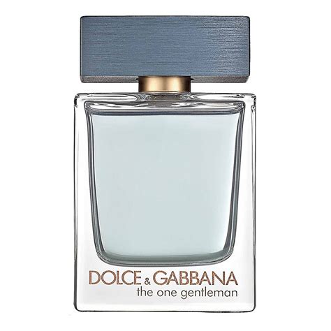 dolce gabbana the one composition|d&g the one price.